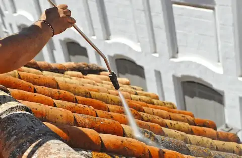 Nettoyage de toitures - Catus